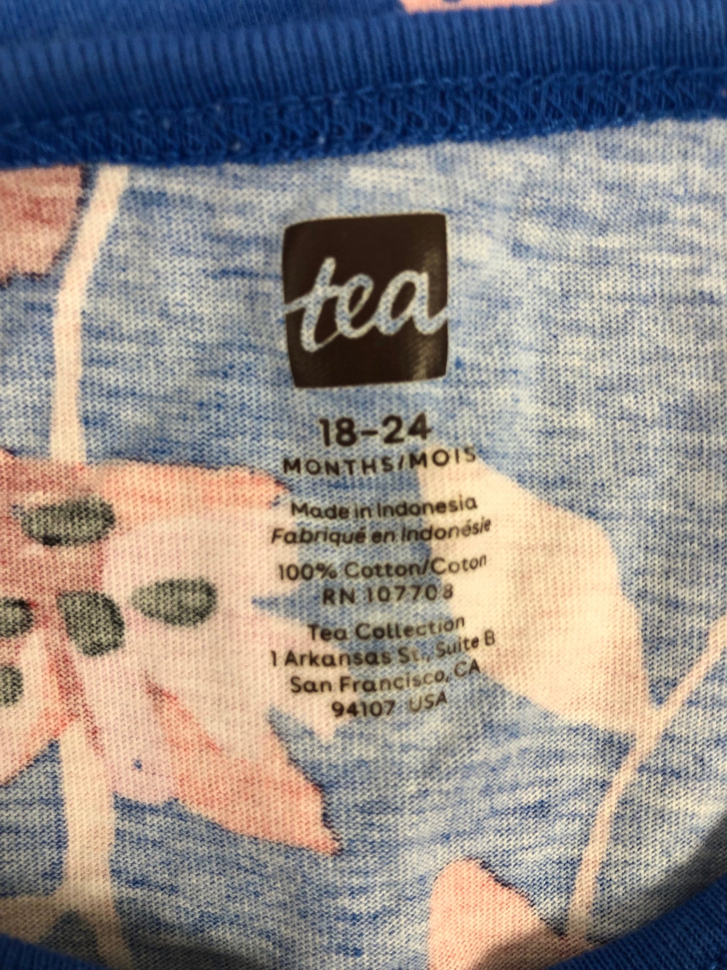 18-24m tea blue floral Dress