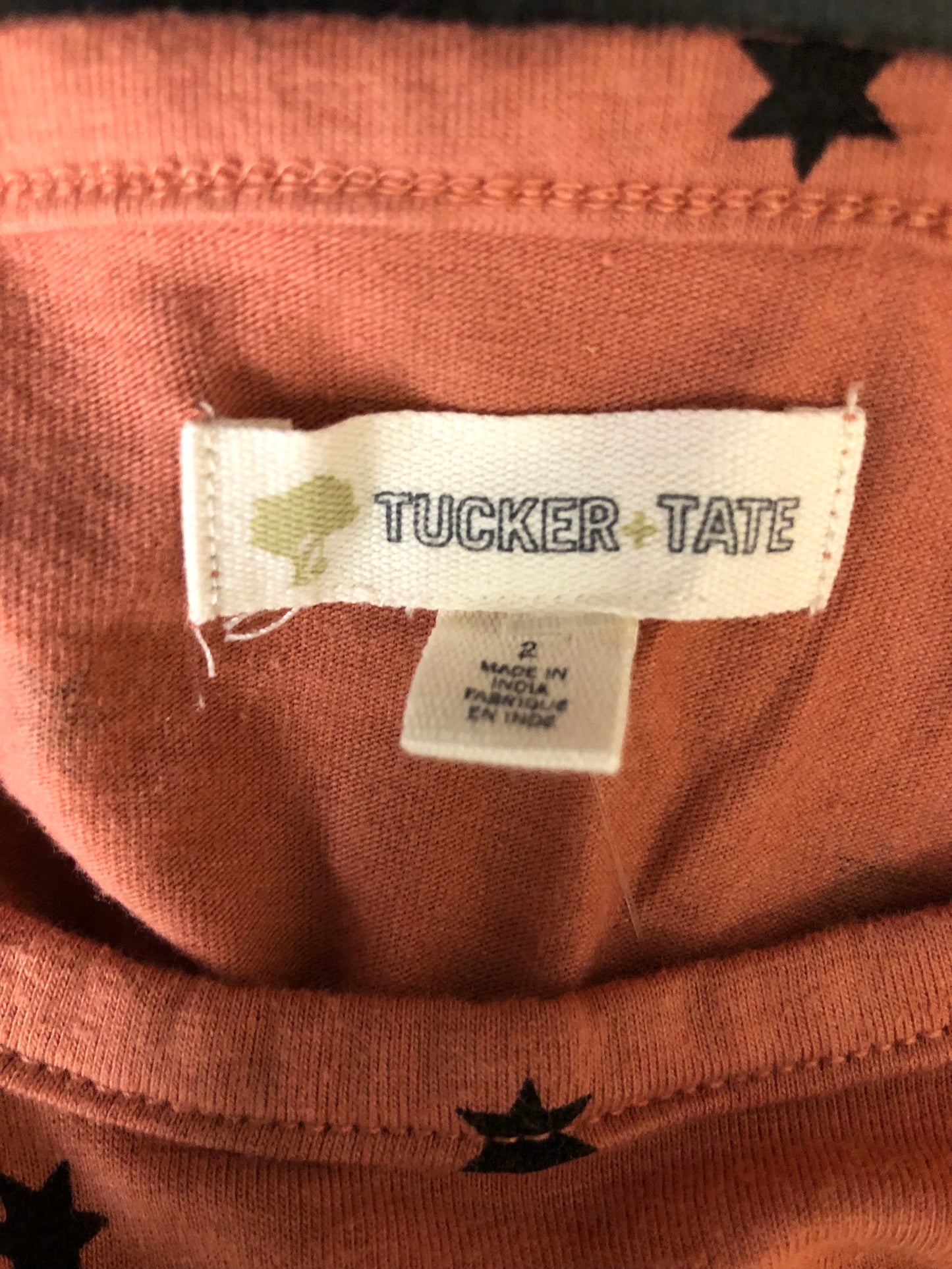 2 Tucker and Tate rust stars Dress