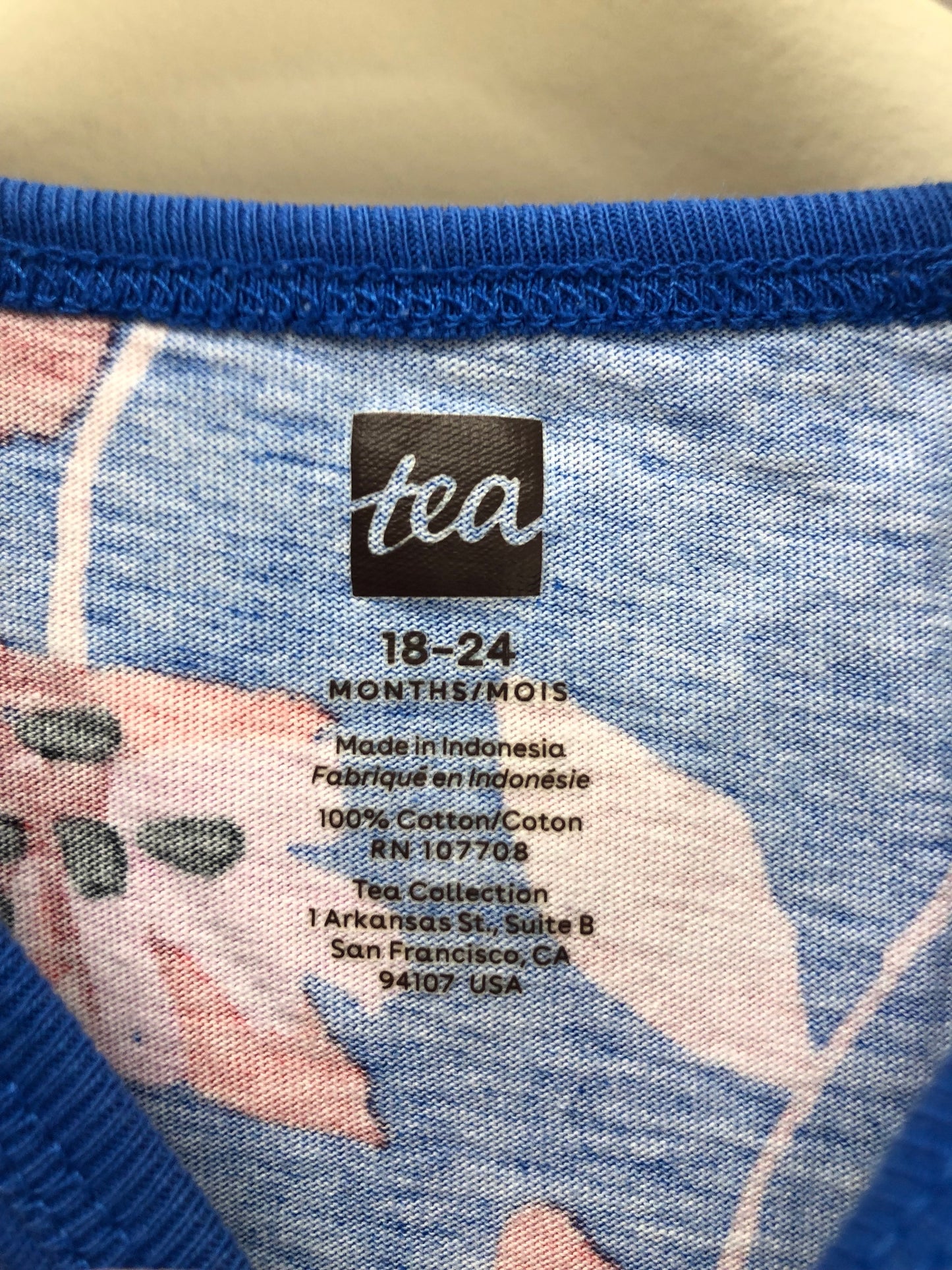 18-24m tea blue floral Dress