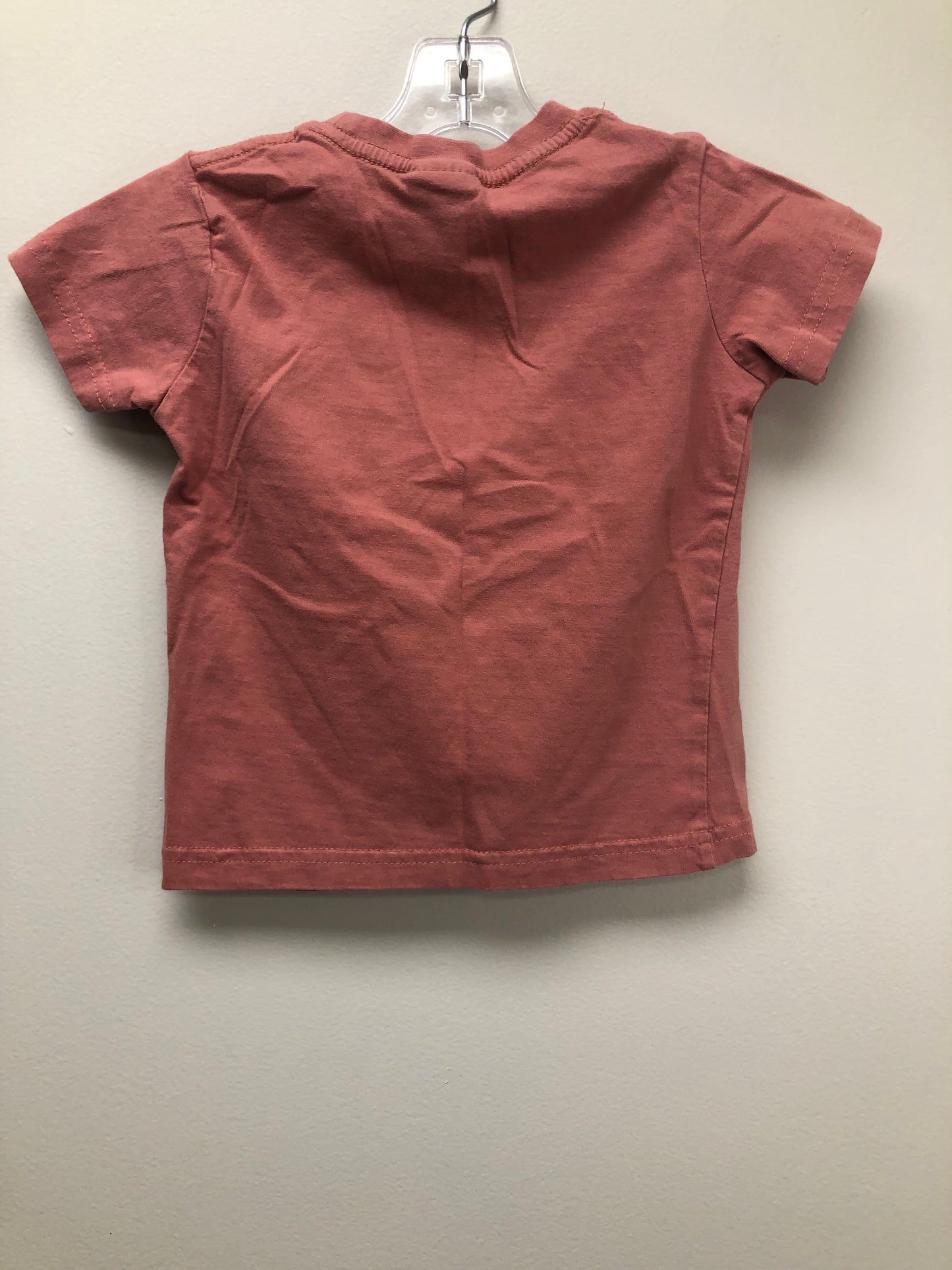 2T pink Big sister Shirt