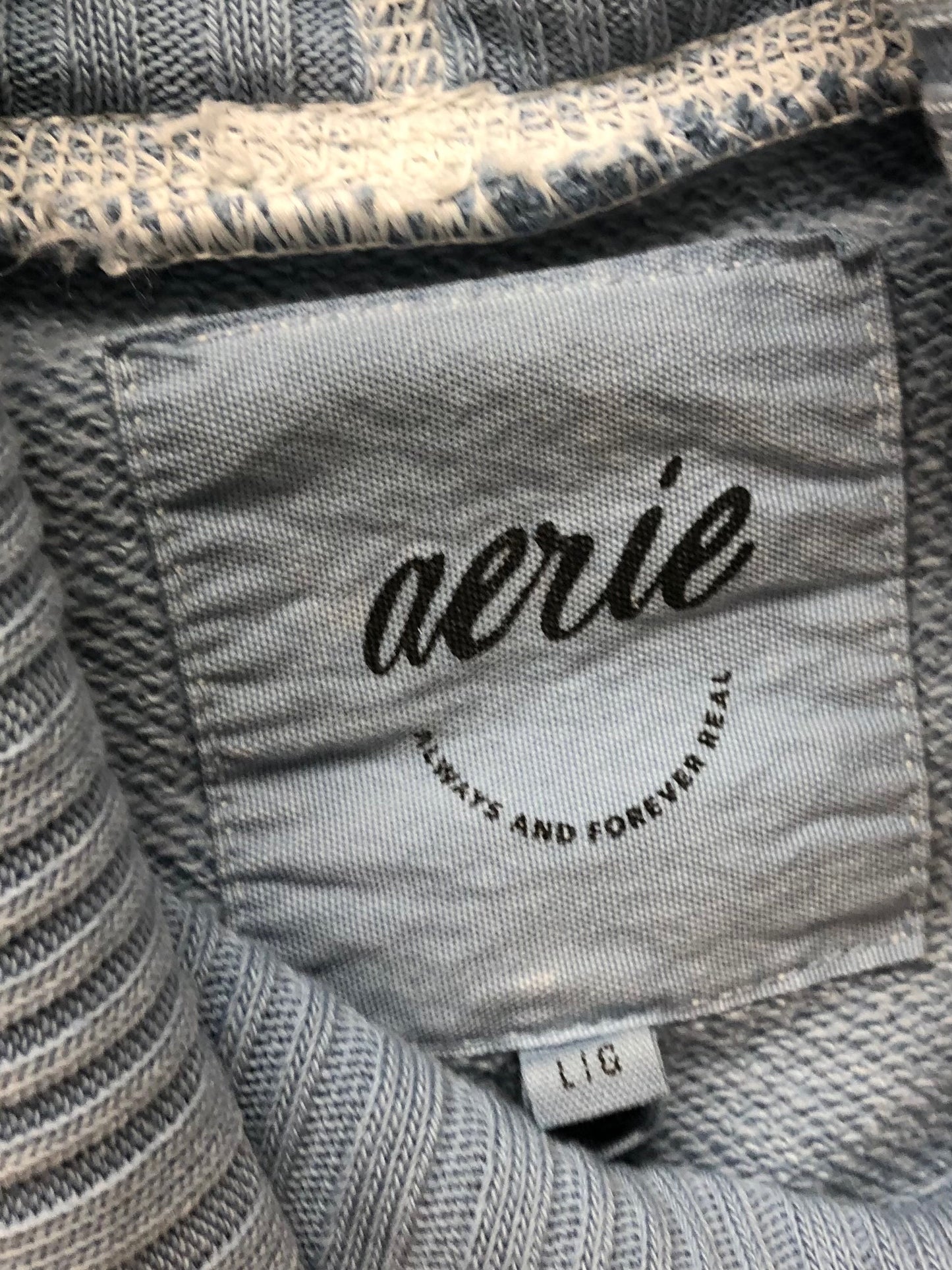 Large Aerie blue Sweatshirt