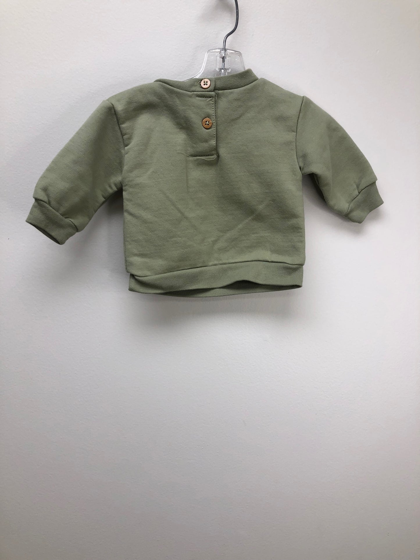 3-6 Months Avalanche green mountains Sweatshirt