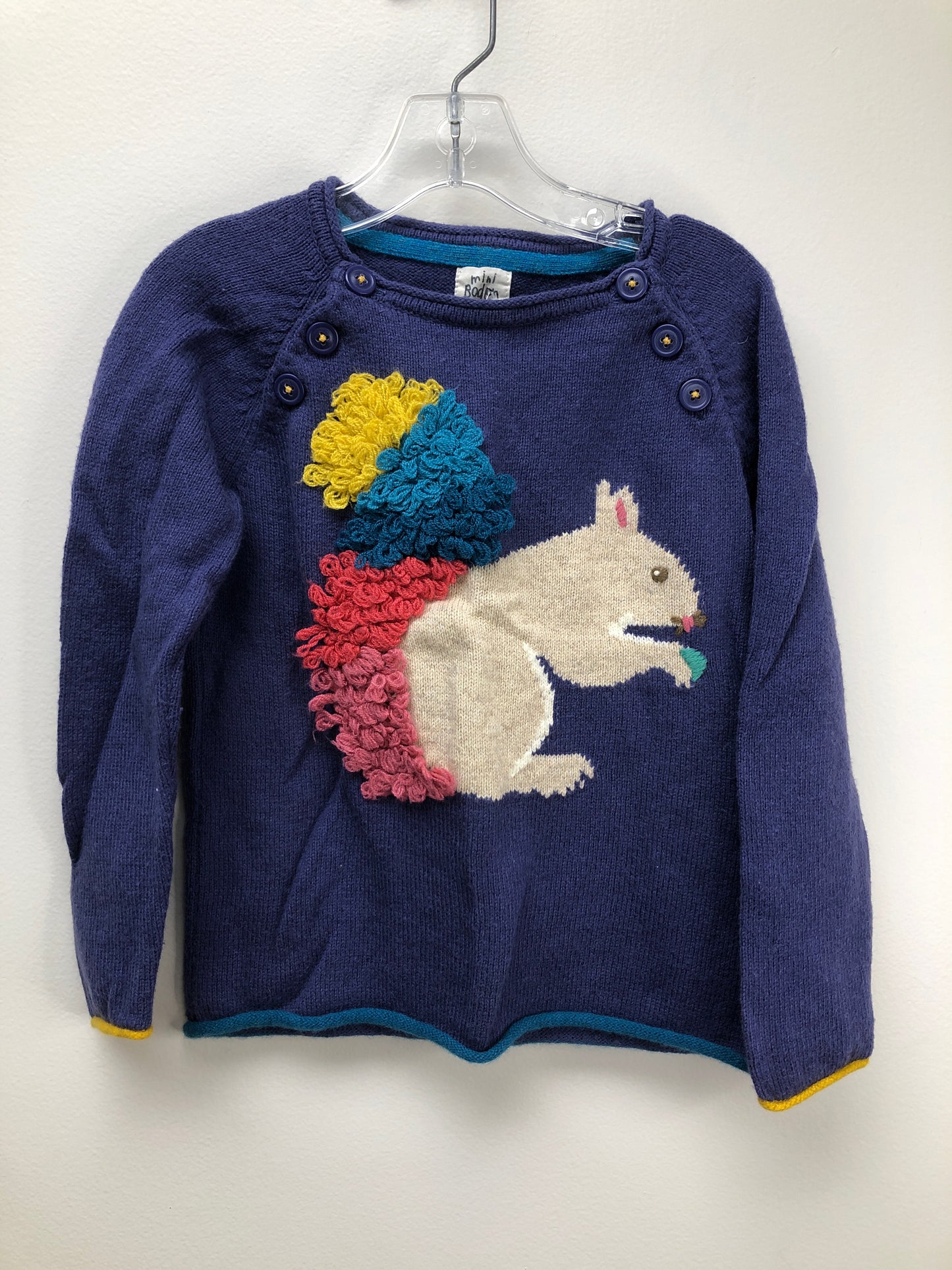 5/6 Boden purple Squirrel Sweater