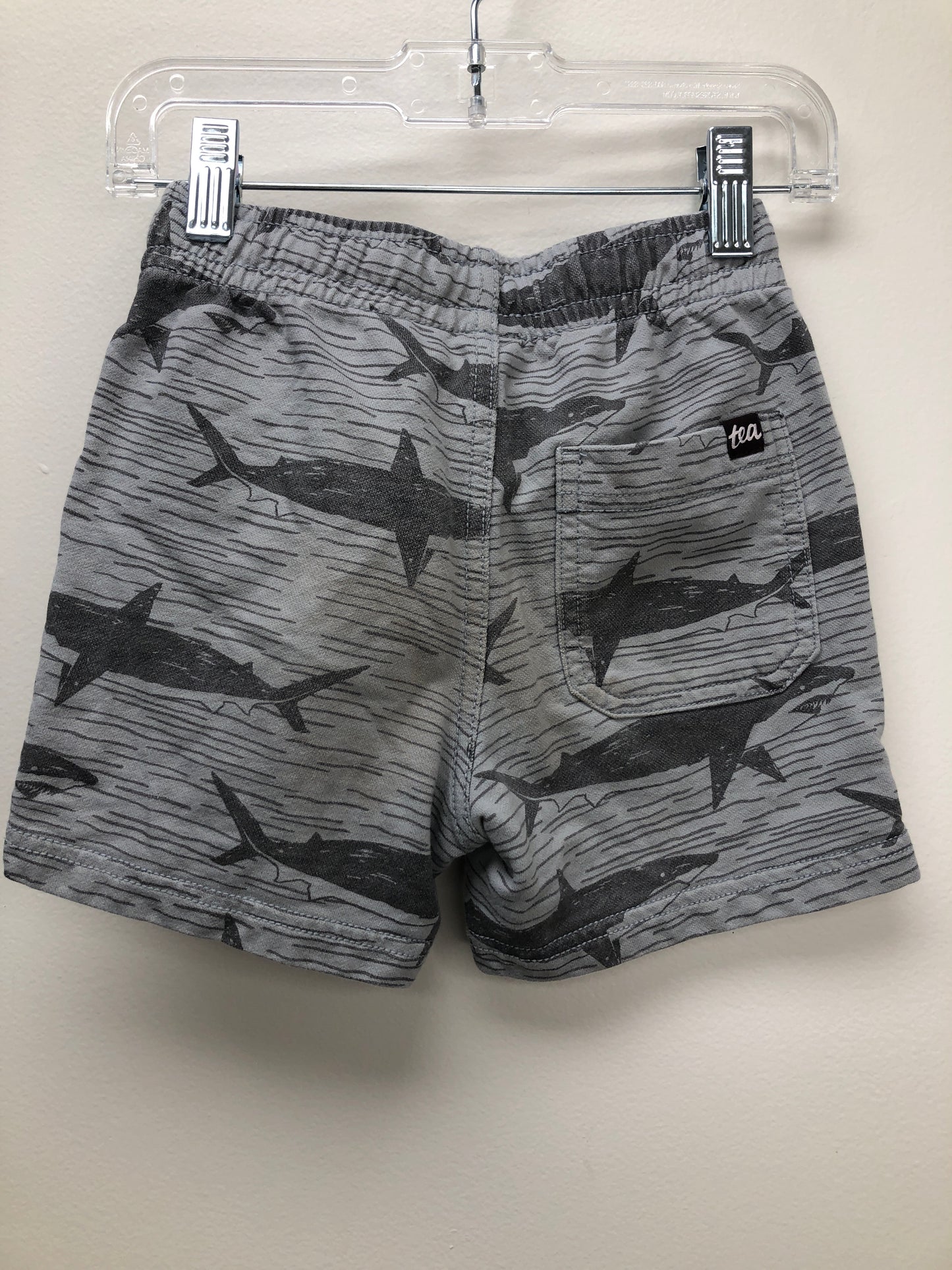 5t tea grey sharks Shorts