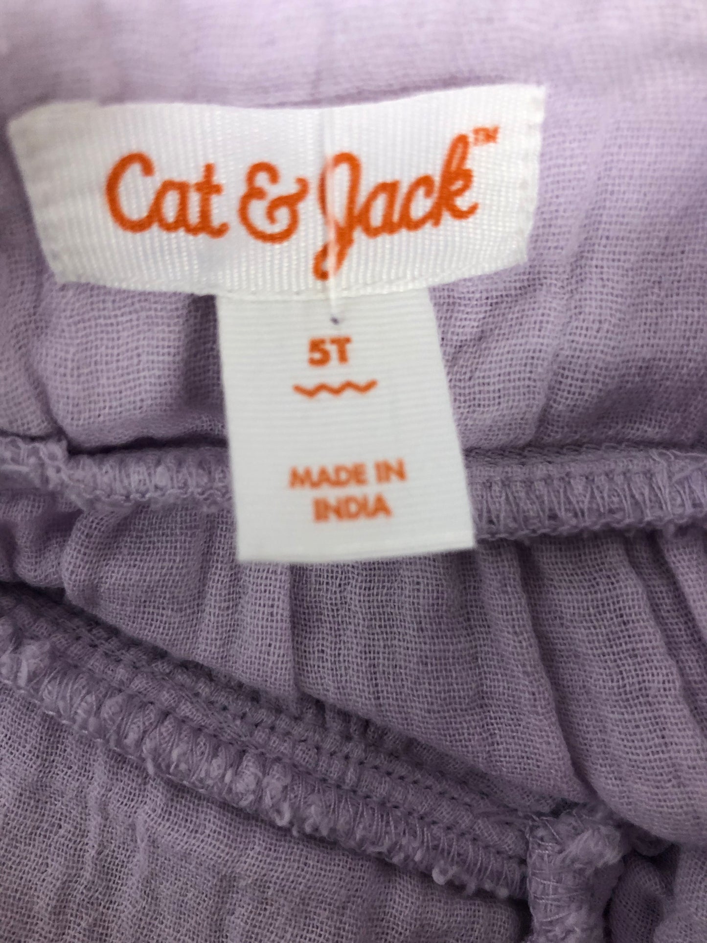 5T Cat & Jack  purple muslin Dress