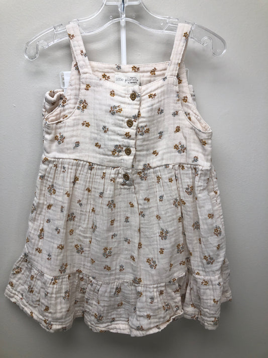 24m Little Planet pink floral 2 PC Ensembles