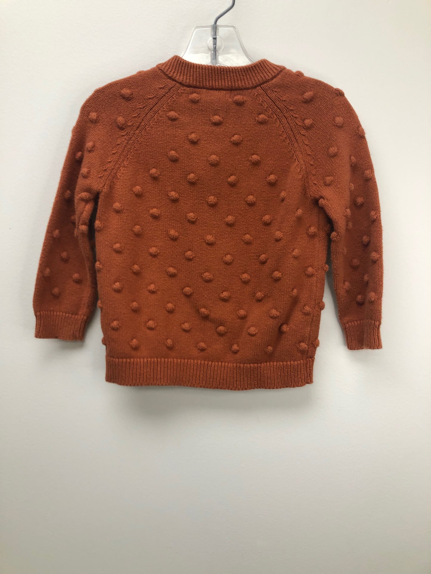 18m Cat & Jack rust Sweater
