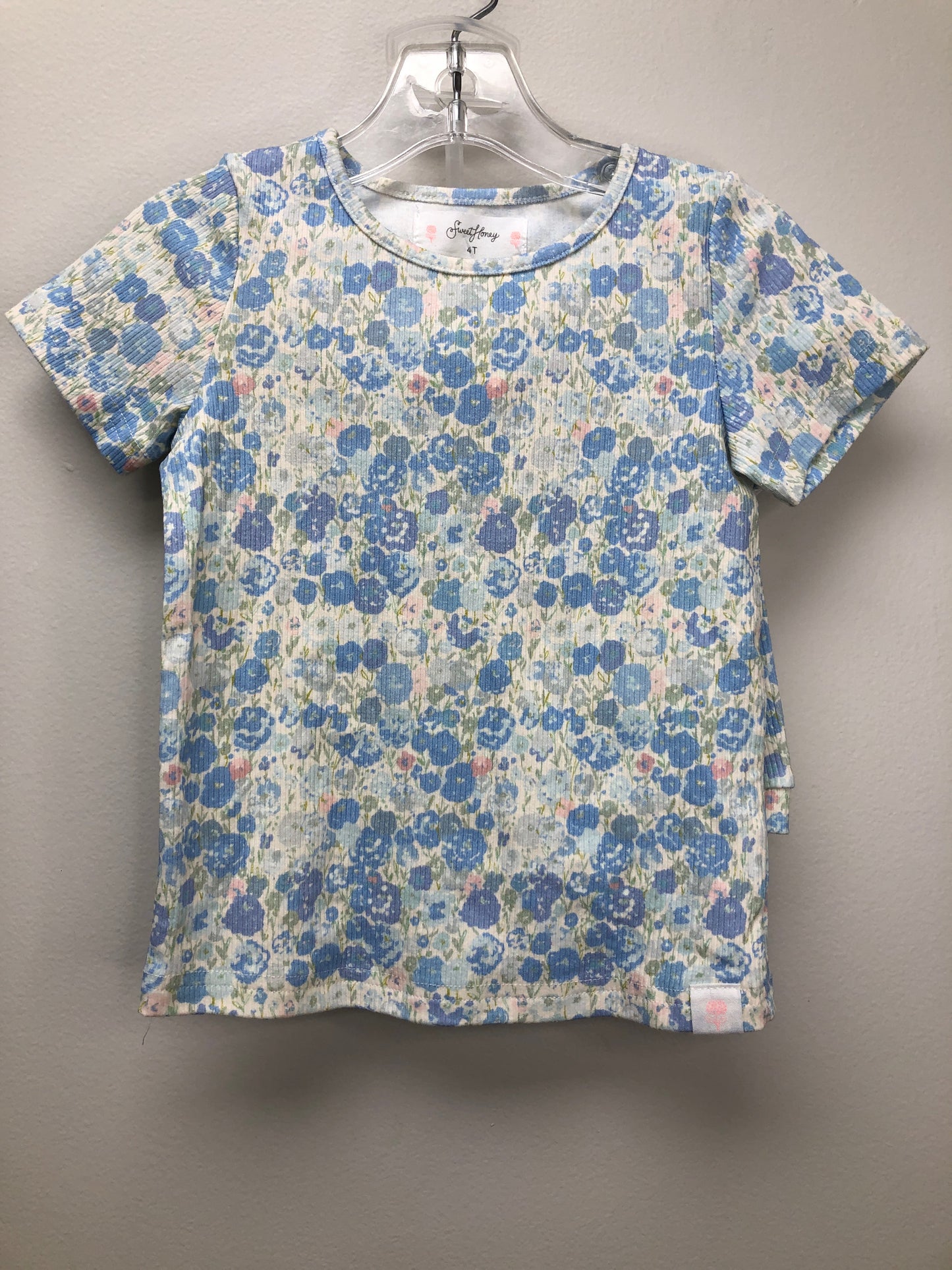 4T Sweet Honey Clothing Co. blue floral 2 PC Ensembles