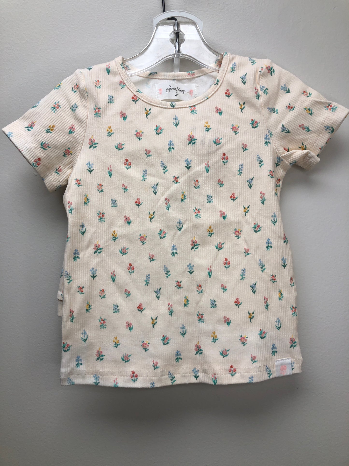 4T Sweet Honey Clothing Co. pink floral 2 PC Ensembles